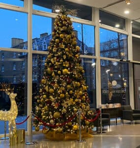 Christmas Decorators for Retail — commercial holiday decorating example by We Install Christmas Lights